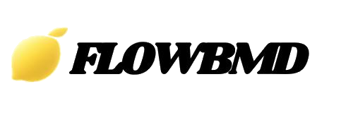 FLOWBMD logo